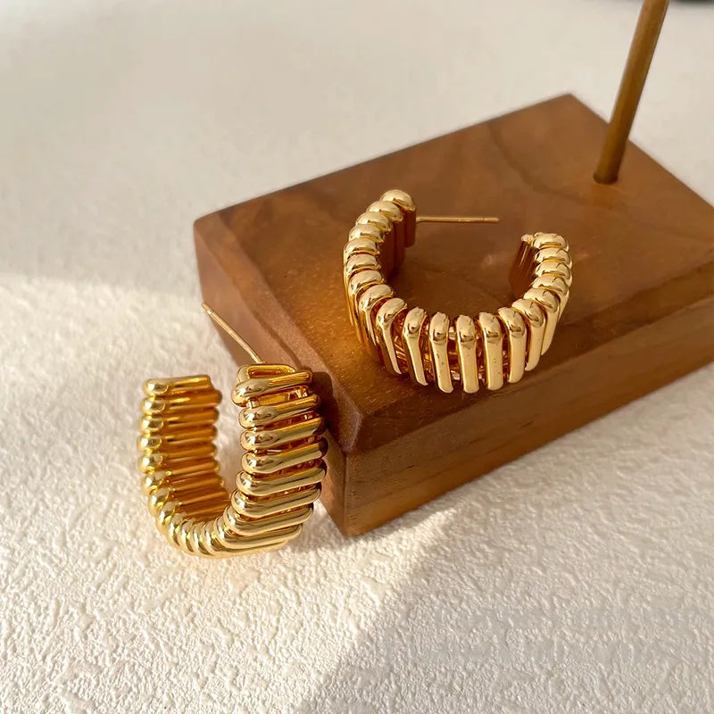 Brinco Argola Camadas Moderno